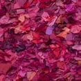 thumbnail image 7 of SAFAVIEH Rio Cassandra Confetti Polyester Shag Area Rug, Fuchsia/Multi, 8' x 8' Square, 7 of 7