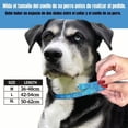 thumbnail image 2 of Collares Táctico Y Cuerda Para Perros Medianos Y Grandes, 2 of 8