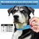 thumbnail image 2 of Collares Táctico Y Cuerda Para Perros Medianos Y Grandes, 2 of 8
