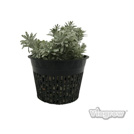 6 in. Net Pots, Round Cup with Slotted Plastic Mesh