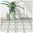 Green and White, variant on MORCART Peel and Stick Floor Tile - 20 PCS, 7.87" x 7.87" Vinyl Flooring - Waterproof Self-Adhesive Tile Sticker for Wall Backsplashes, Bathroom, Kitchen - Green and White Floral Look