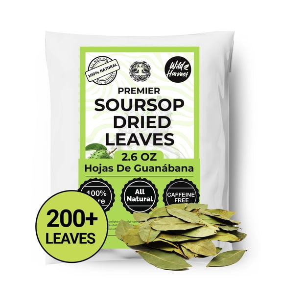 200   Whole  Soursop Leaves, Hojas De Guanabana, Wildcrafted Dried  Leaves, No Additives, Non-GMO. by Akshit