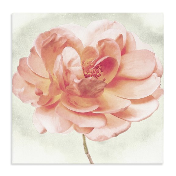 Stupell Industries Cottage Soft Pink Dahlia Canvas Art, 30 x 30, by Christine Zalewski
