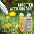 Syngenta Barricade 4FL Herbicide Lawn PreEmergent Weed Control 4 oz Bottle