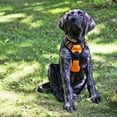 thumbnail image 2 of Arnés para Perro Rabbitgoo Naranja con Líneas Reflectantes y Chaleco Acolchado Ajustable para Adiest, 2 of 9