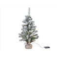 thumbnail image 1 of Everlands 9080457 2 ft. Full Christmas Tree, Clear & Warm White, 1 of 1