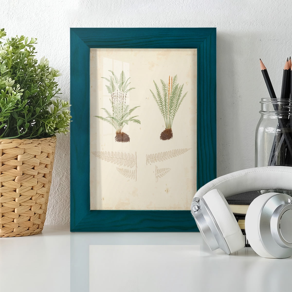 Fern Study III -Framed Print w/glass-Ocean Blue