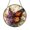 Acrylic 3.5 Inch, variant on Lovely Monarch Butterfly Purple Aster Suncatcher Ornament Item Glass