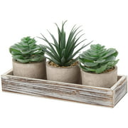 Set of 3 Assorted Big Succulents Artificial Succulents in Pulp Pots Fake Cactus Realistic Fake Succulents with Vintage Wood Planter Fake Potted Succulents Centerpiece Faux Succulents Plants with Pot