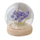 thumbnail image 5 of Luz de noche con forma de tulipán LED, luz de simulación de flores para dormitorio, luz para dormir, regalo de cumpleaños de Tanabata, luz de ambiente con flores para niña, 5 of 5