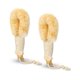 thumbnail image 1 of wonima11 2 Pcs Dry Brushing Exfoliating Brush Body Scrubber Natural Bristle Bath Shower Dry Skin and Sisal Brush with Naturals Fibers for Skin Care, Exfoliates, 1 of 1