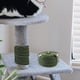 thumbnail image 4 of Houderco Cuerda De Sisal Cortable Para Rascador De Accesorio Para Muebles Oscuro, 4 of 8