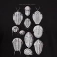 thumbnail image 3 of CafePress - TRILOBITES Men's Fitted T Shirt (Dark) - Men's Fitted T-Shirt, 3 of 4