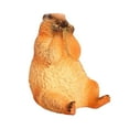 thumbnail image 4 of segolike Groundhog Toy Collectibles Home Decoration Realistic Simulation Animal Model B, 4 of 9