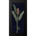 thumbnail image 2 of Schlabach, Sue 10x18 Black Modern Framed Museum Art Print Titled - Dramatic Tropical IV Light Crop, 2 of 5