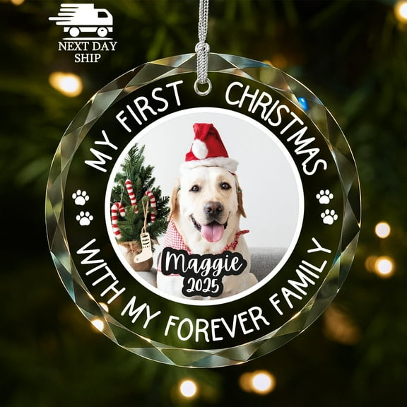 New Dog Photo Ornament, Personalized Puppy Ornament, Custom Glass Ornament, Foster Dog Ornament, Dog Rescue Ornament, Dog Shelter Ornament