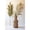 Multi, variant on Decorative Palm Fans with Bamboo Stems
