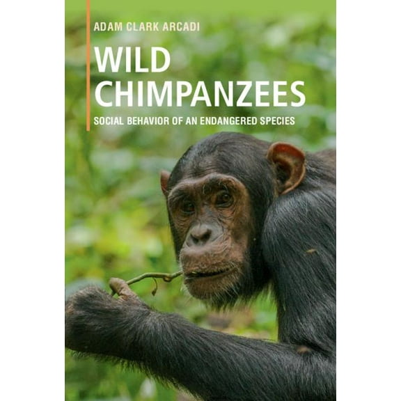 Wild Chimpanzees: Social Behavior of an Endangered Species, (Paperback)