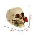 thumbnail image 5 of Romantic 3D Skeleton Skull with Mouth Model Head Ornament Pub Bar Decorative Figurine Craft, 5 of 7