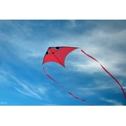 Fish Swim In Sky Delta Kite with Flying Line and Handle (Orange)