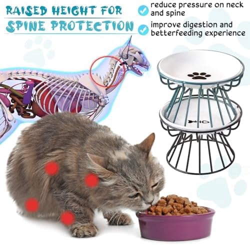 4 Sets Elevated Cat Bowls Ceramic Raised Cat Food Bowls with Metal Stand Dishwasher Safe Dishes Non Slip Elevated Food Plate(Black, Green,Fishbone, Paw)