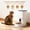 White, variant on 4L Programmable Pet Feeder for Cats & Dogs – Up to 6 Meals Daily, Timed Portion Control, Dual Power Supply, Dampness-Proof Storage, Stainless Steel Bowl