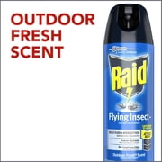Raid Flying Insect Killer Aerosol Spray - Insecticide, Indoor Use - 15 oz