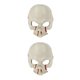 thumbnail image 4 of Advancent Escudo facial de Halloween Media espuma Guardia facial Fiesta Etapa Cosplay Traje Danza Prop, Blanco Rojo Type2 NO2 Advancent CBP176740, 4 of 6
