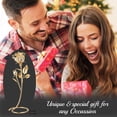 thumbnail image 7 of Everlasting 7.5" 24K Gold Plated Long Stem Rose Flower with Premium Crystals, Gift for Christmas, New Year, Valentines Day, Anniversary, Birthday and More for Girlfriend, Mom, Wife, 7 of 7