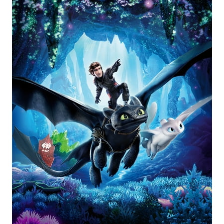 Train Cake Kit - How To Train Your Dragon: The Hidden World Personalized Birthday Edible Frosting Image 1/4 sheet Cake Topper