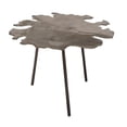 thumbnail image 2 of Decmode - Eclectic 20 x 27 Inch Irregular-Shaped Aluminum Accent Table, 2 of 4