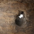 thumbnail image 4 of Cyan Design 09758 Jemima Iron And Wood Abstract Statue - Rustic, 4 of 4