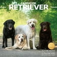 thumbnail image 1 of Calendario de Pared 2026, Calendario Labrador Retriever, Calendario de Pared Mensual Colgante con Bloques Grandes para Organizar y Planificar, Horario Académico, Hogar, Oficina y Familia, 1 of 6