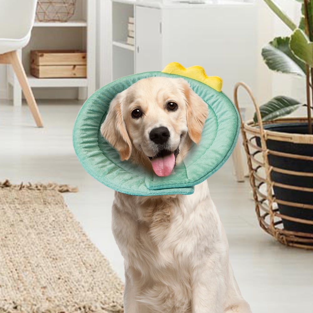 Cat Cone Dinosaur Style Dinosaur Pattern Soft Cone for Cats Dogs