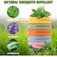 thumbnail image 2 of Pulseras repelentes de mosquitos naturales BRILLAR paquete de 15 ajustables impermeables, 2 of 5