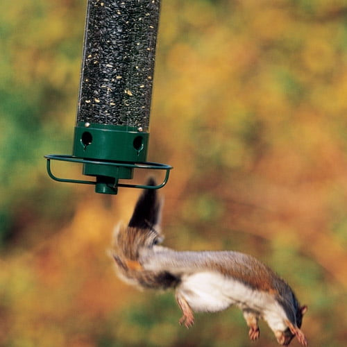 Droll Yankees Flipper Squirrel Proof Green Bird Feeder Walmart Com