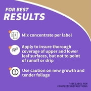 2 PACK Pyrethrin Concentrate Garden and Insect Spray, Bonide Products, 8 oz each