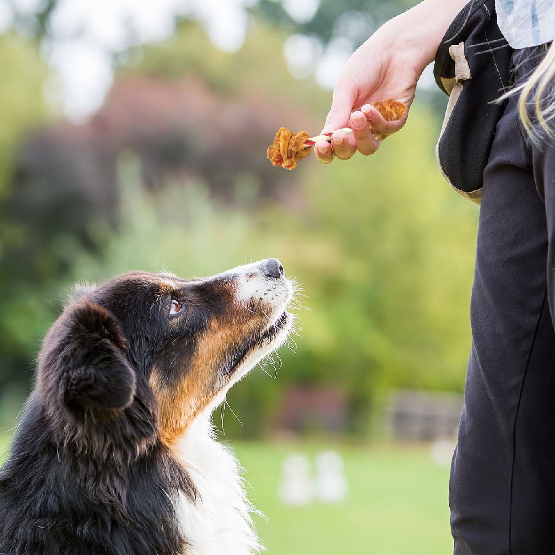 Good 'n' Fun Triple Flavor Double Pops with Chicken, Rawhide Chews for All Dogs, 5.5 oz.