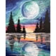 thumbnail image 2 of Cuadros Decorativos 5D bricolaje taladro redondo completo diamante pintura luz de la luna vista del lago dibujo Ndcxsfigh Nuevos Originales, 2 of 8