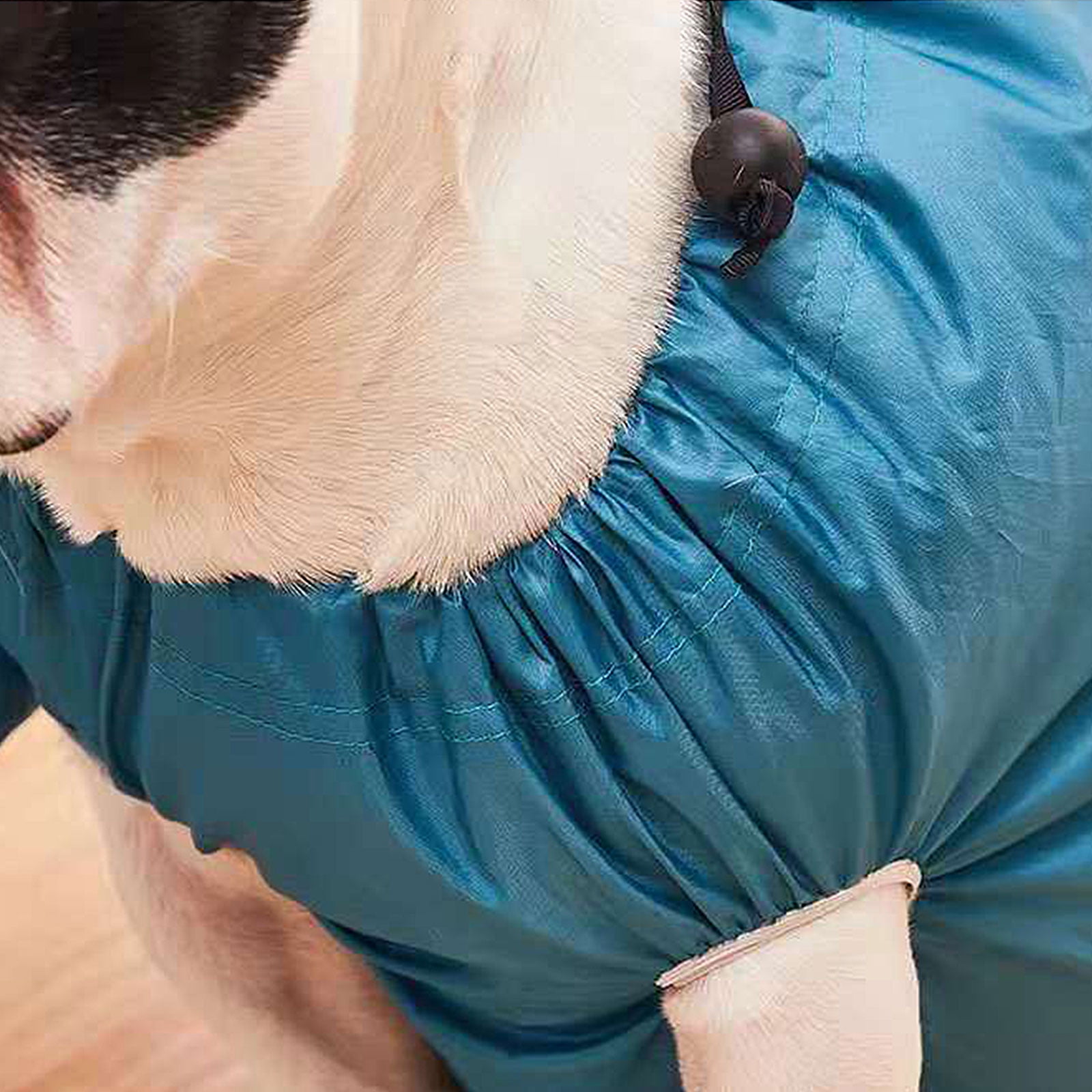 Pet Drying Bag Dog Cleaning Accessories Grooming Bag Pet Dry Bag Portable Folding Dogs Hair Dryer Blow Bag L