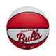 thumbnail image 5 of Balón NBA Mini Retro Bulls multicolor Estandar, 5 of 6