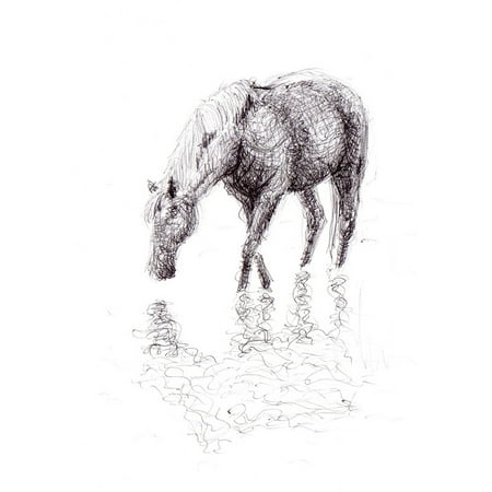 - Peel-n-Stick Poster of Pen Art Drawing Artwork Horse Poster 24x16 Adhesive Sticker Poster Print