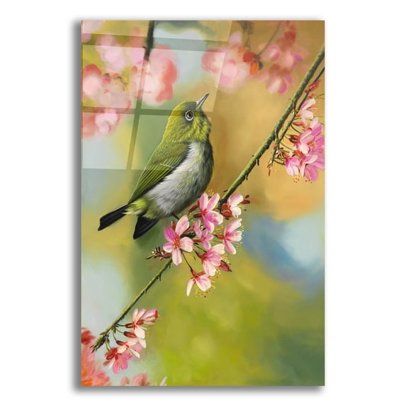 Epic Art 'Birds & Blossoms' by Patricia Feathers, Acrylic Glass Wall Art, 16"x24"