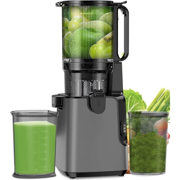 Juicer Machines with 5.8" Large Feed Chute, Cold Press Juicer For Whole Vegetables and Fruits, 400W Professional Slow Masticating juicer Easy to Clean for Batch Juicing (Titanium Gray)