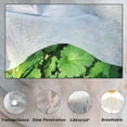 thumbnail image 4 of Greenhouse Hoops For DIY 43" Or Wider Plant Tunnel, Rust Resistant Fiberglass, 4 of 5