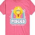 thumbnail image 2 of Sesame Street - Pisces Big Bird - Toddler and Youth Short Sleeve Graphic T-Shirt, 2 of 4
