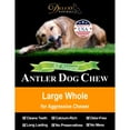 thumbnail image 4 of Deluxe Naturals 1-Pack Large Whole Elk Antler Dog Chew, Natural Long-Lasting Chew Treat for Medium and Large Dogs, 4 of 10