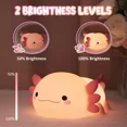thumbnail image 4 of CHAO Lampara Regalos Linda Luz Nocturna Recargable, 4 of 5