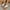 White, variant on AXXD Women Brown Sandals Clearance Under $10 New Summer Flat Sole Shoes Hollow Out Wearing Beach Sandals