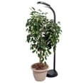 thumbnail image 2 of Agrobrite Hydrofram FLF27DF Lampe de Plante Réglable Intérieure 27W, 2 of 5